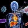 Michael Sansano,Jr., MD's profile picture