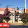 teodoro58 的头像
