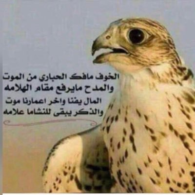 awdhmo's profile picture