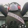つよポン@熊本県民🐻 profil fotoğrafı
