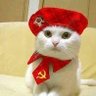 Ane 的头像