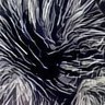 Profilbild von Simulacra-C0RT3X