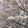 Фото профиля blue sky blue