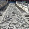 ifengxu 的头像
