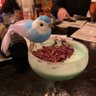 Rachgsh's profile picture