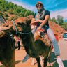 Kush Doshi profil fotoğrafı