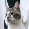 Edu.'s profile picture