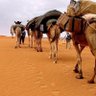 Profilbild von ابن العمدة