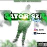 GatorSZN's profile picture