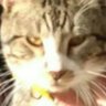 Santiago profil fotoğrafı