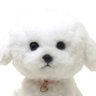Profilbild von の
