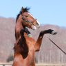 山ちゃん profil fotoğrafı