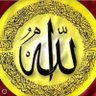 احمد القبيسي's profile picture