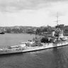 Warspite 🇺🇦 🇮🇱 🇬🇧 的头像