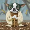 Jedi Mutt 🙏☯️🐕🏳️🌈☮️ 的头像