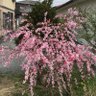 Фото профиля ワタナベゆみ