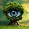 Nejat Cengiz's profile picture