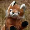 Profilbild von Zorro Buena Onda