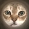 Profilbild von Bright-Door