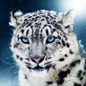 Profilbild von Alberto AA