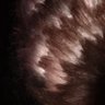 reece's profile picture