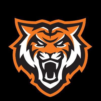 BengalGridiron's profile picture