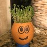 martin's profile picture
