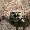 Diego seb profil fotoğrafı