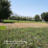 Israr profil fotoğrafı