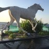 Фото профиля امل الحياة