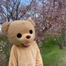 くまもちゃん 的头像