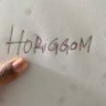 Horiggom 的头像