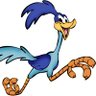 JD RoadRunner 的头像