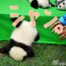 シャン。さん@'s profile picture
