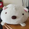 Xinheng Yee's profile picture