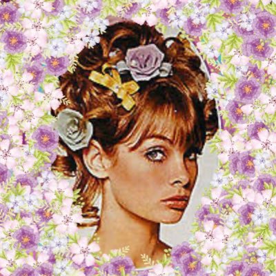 🌹はんたろう🌸's profile picture