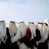 Фото профиля الماجـــد
