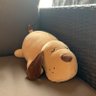 Faye S.'s profile picture