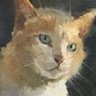طرفه's profile picture