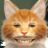 TomCat 的头像