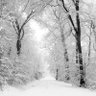 White Way→'s profile picture