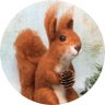 Profilbild von Christopher the Sweary Squirrel 🦉