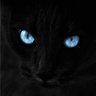 Profilbild von Anubis