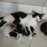 hero kampung's profile picture