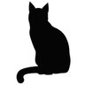 Profilbild von neko太郎