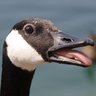 John D profil fotoğrafı