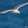 Kergroix profil fotoğrafı
