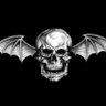 Ayden's profile picture