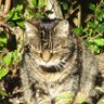 Profilbild von Rose Mc Dowall😸😹🙀
