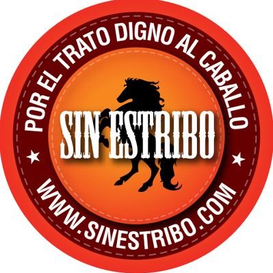Fundación Sin Estribo's profile picture